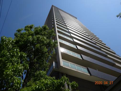 ������륳����Ϳ��Į���륰�졼��