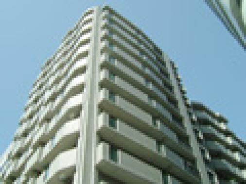 ���󥼥�ϥ������綶