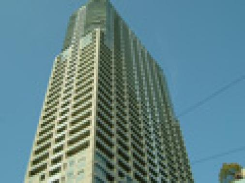 �ӥ����������������