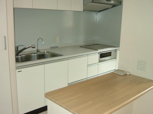 ������ѡ��������ɥ������˥塼