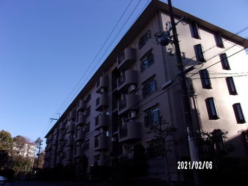 ���̳�ë����켡����17����